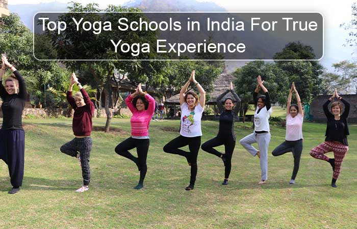 Top Yoga Schools in India For TrueYoga Experience